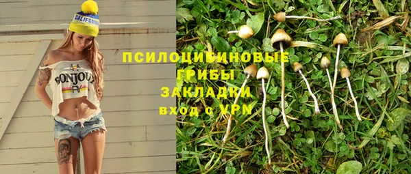 PSILOCYBIN Абинск